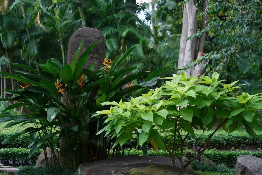 春の庭づくりで大切にしたい、植栽と土壌の基本