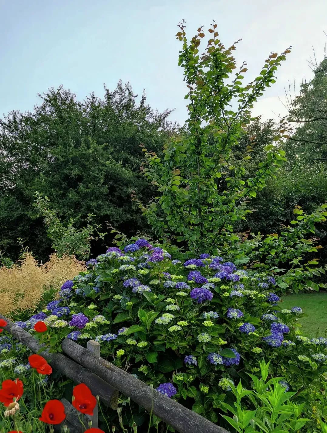 翠庭園 2